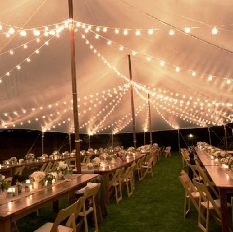 Tent Lighting Rentals