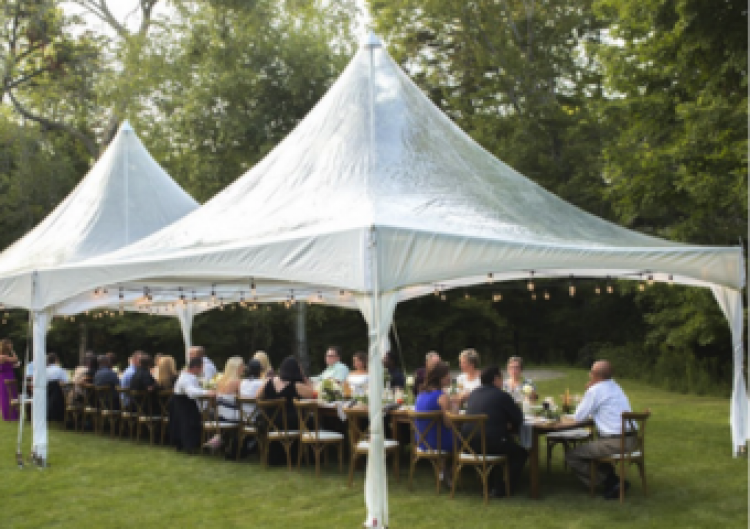 20'x20' Clear Top Tent